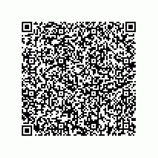 vCard 73522478881