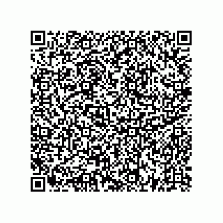 vCard 73522478882
