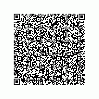 vCard 73522478885