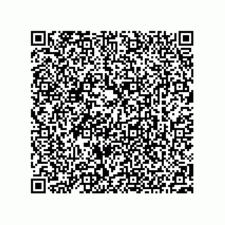 vCard 73522478889
