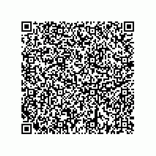 vCard 73522478900