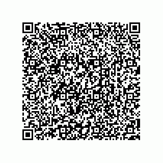 vCard 73522478920