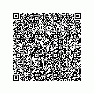 vCard 73522478929