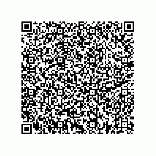 vCard 73522478932