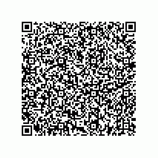 vCard 73522478933