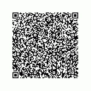 vCard 73522478937