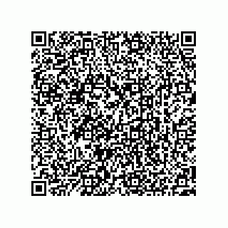 vCard 73522478968