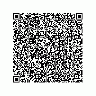 vCard 73522478969