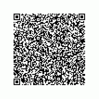 vCard 73522478983