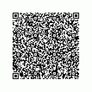 vCard 73522478986