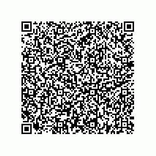 vCard 73522478995
