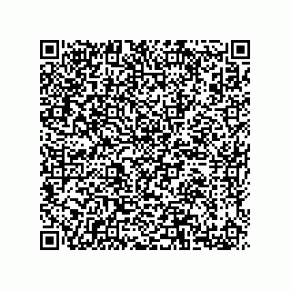vCard 73522478998