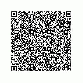 vCard 73522481291