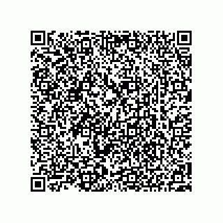 vCard 73522487212