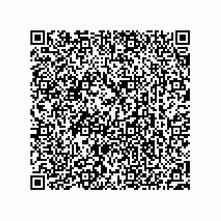 vCard 73522610313