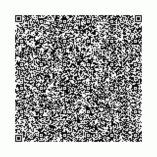 vCard 73522613311