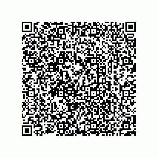 vCard 73522795272