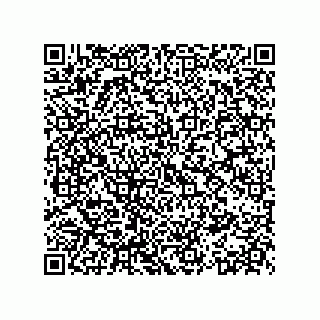 vCard 73523131339