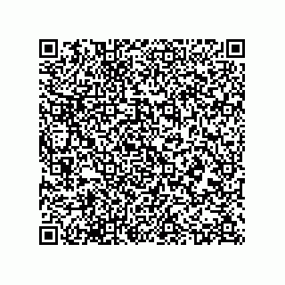 vCard 73523527934