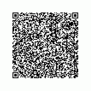 vCard 73523527987