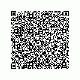 vCard 73523690803