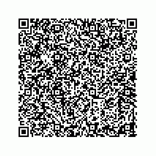 vCard 73523798929