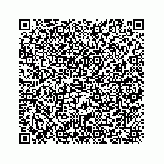 vCard 73524291181