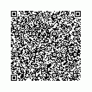 vCard 73524291281