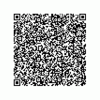 vCard 73524520039