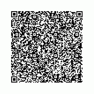 vCard 73524929239
