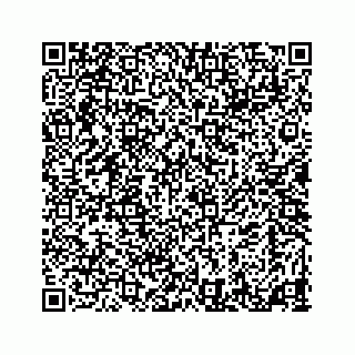 vCard 73524929271