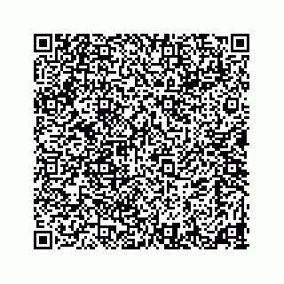 vCard 73524929299
