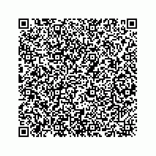 vCard 73524929420