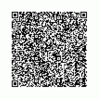 vCard 73524929431