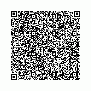 vCard 73524929533