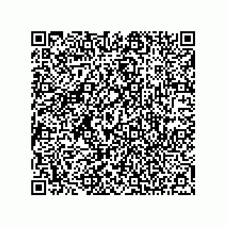 vCard 73525330039