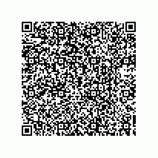 vCard 73532376665