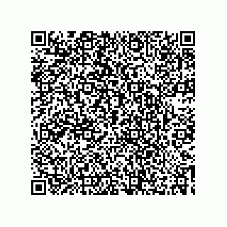 vCard 73532378381