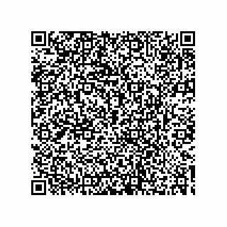 vCard 73532469381