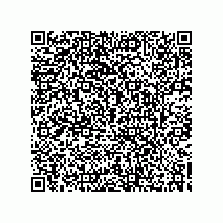 vCard 73532482381
