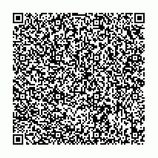 vCard 73532900000