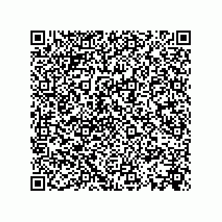 vCard 73532900099