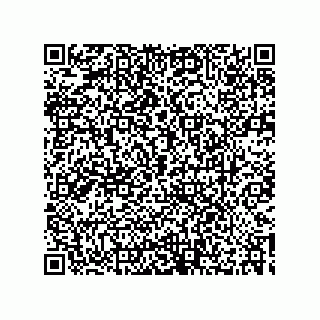 vCard 73532900138