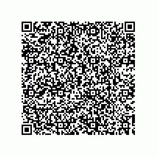 vCard 73532900209