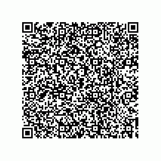 vCard 73532990279
