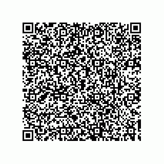 vCard 73532991111