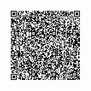 vCard 73533043130