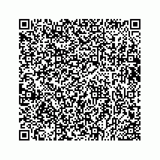 vCard 73533043131