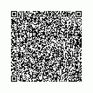 vCard 73533043133
