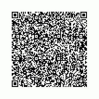 vCard 73533043138